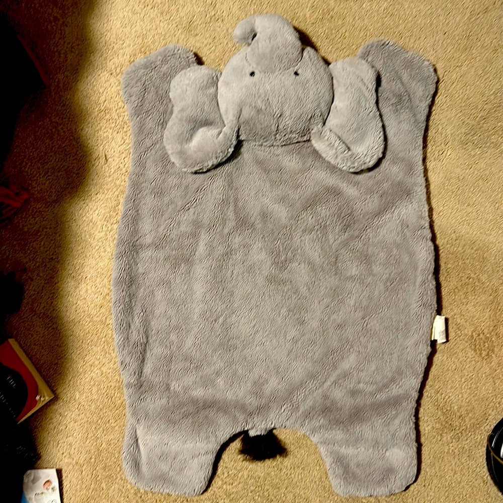 Pottery Barn Tummy Time Rug